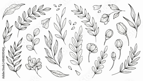 Elegant Hand Drawn Botanical Elements Collection Floral Leaves and Buds.
