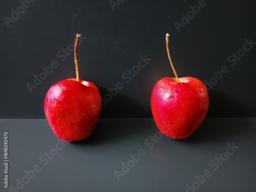 Wallpaper Mural apple to apple illustration photo Torontodigital.ca