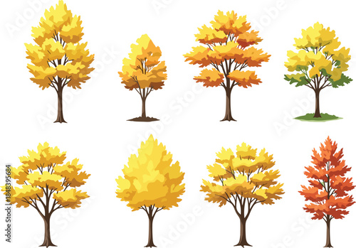 Autumn deciduous trees collection with golden yellow and orange foliage illustration isolated on white background for seasonal landscape design