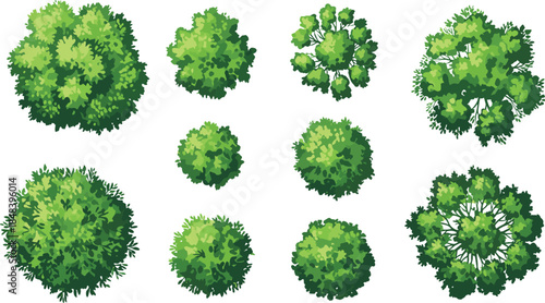 Top view green bushes and shrub foliage collection illustration isolated on white background for landscape design, garden planning, and botanical textures