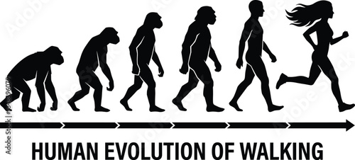 Human evolution of walking silhouette timeline, from ape to modern runner, progress, development, fitness, history, science, lifestyle concept