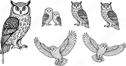 Hand drawn owl vector illustration set, flying and standing owls, detailed black and white wildlife bird line art collection design elements