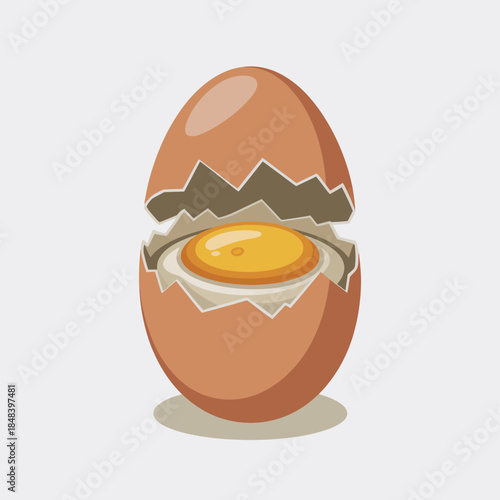 broken egg with yolk
