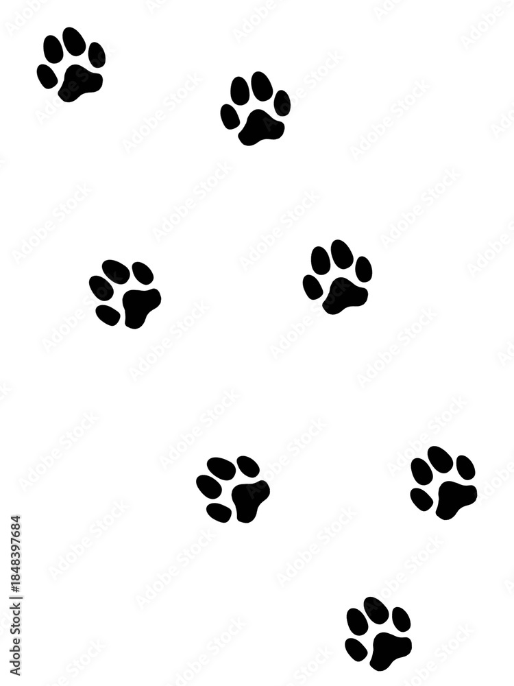 Fototapeta premium 犬の足跡(痕跡)