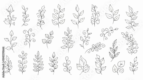 Collection of Hand Drawn Botanical Elements and Leafy Branches.