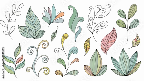Collection of Hand Drawn Botanical Elements and Leaves.