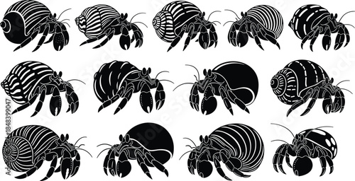Set of hermit crab silhouettes, black crustacean illustrations collection, marine wildlife vector design, minimalist ocean animal icons for nature themed projects