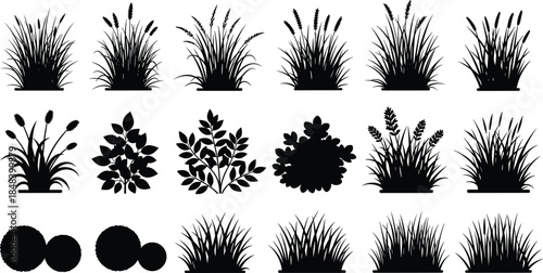 Grass and bush silhouettes collection set, various wild plants and foliage shapes, natural garden landscape elements, isolated black vector illustration