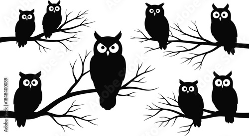 Owl silhouettes on tree branches collection, nocturnal birds in different poses, wildlife nature illustration set, isolated black vector design