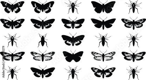 Insect silhouette vector collection, black moth and beetle icons, entomology design elements, symmetrical bug shapes for decoration, nature-inspired graphic set