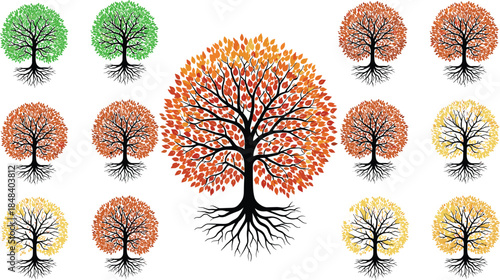 Colorful seasonal tree collection vector illustration showing roots and foliage variations, nature design set with autumn spring summer trees