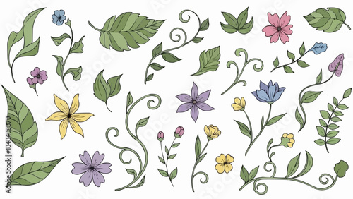 Collection of Hand-Drawn Botanical Elements and Floral Illustrations.