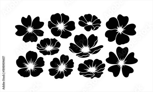 Elegant Black and White Floral Silhouettes Collection.