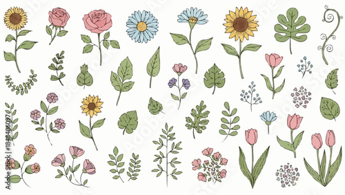 Collection of Hand-Drawn Botanical Illustrations Featuring Diverse Floral Elements.