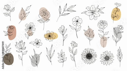 Delicate Hand Drawn Botanical Illustrations with Watercolor Accents.
