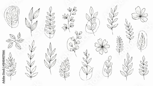 Collection of Hand Drawn Botanical Line Art Elements.