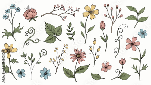 Collection of Hand Drawn Botanical Elements and Flowers.