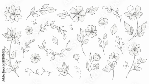 Collection of Hand Drawn Floral Elements and Botanical Illustrations.