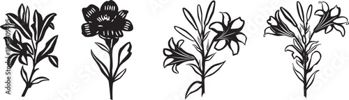 minimal botanical graphic hand drawn black floral silhouette drawing set bundle collection isolated on transparent background, trendy design, flower elements vector illustration, eps 10