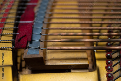 Close-up of the internal string mechanism of a piano, showing coiled copper-wound bass strings, metal pins, and red felt dampers in fine detai