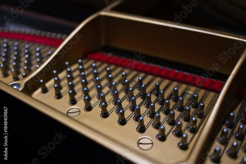 Detailed view of tuning pins and piano strings inside a grand piano, showcasing precision metal components and red felt string dampers.