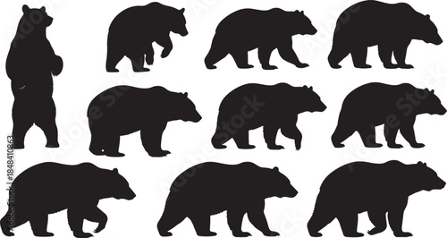 Black Bear Silhouettes in Different Poses white background