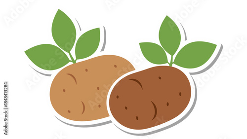 Vector Illustration of Two Potatoes with Green Leaves