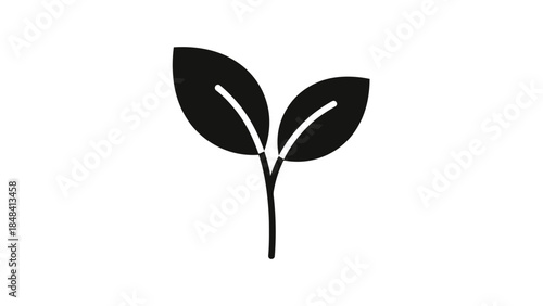 Simple black and white illustration of a growing plant with two leaves