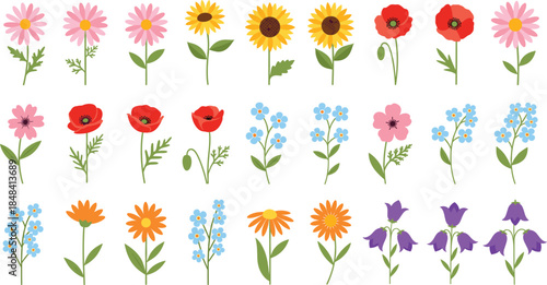 Spring and Summer Wildflower Illustration Set Featuring Colorful Blooming Garden Flowers in Flat Style for Botanical, Nature, Floral, and Decorative Design