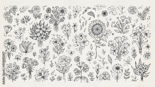 Collection of Hand Drawn Botanical Illustrations Featuring Various Flowers and Leaves.