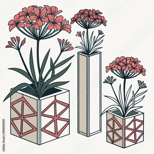 Geometric planters with red flowers geometric patterns