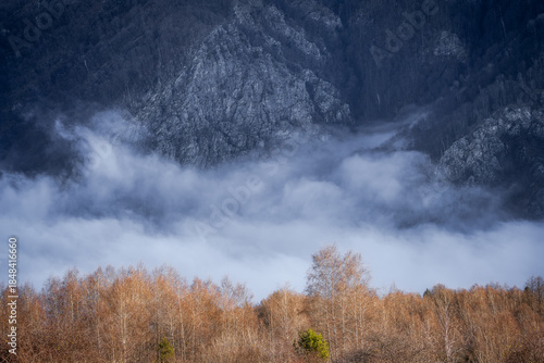 Foggy morning on the valley. View from the mountain.