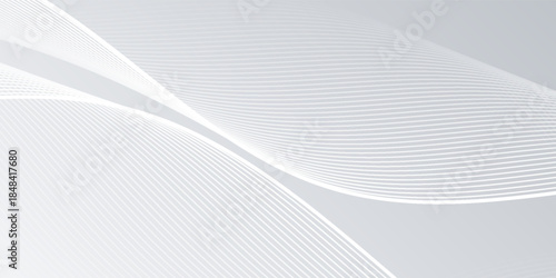 gray and white abstract background modern vector illustration. abstract wavy lines background. abstract white background.