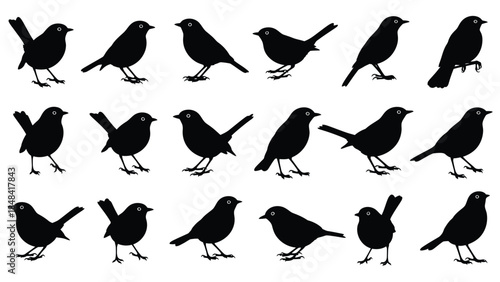 Collection of eighteen black bird silhouettes in various poses