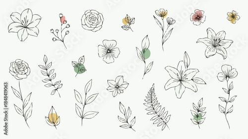 A collection of delicate hand-drawn floral and botanical elements with subtle color accents.