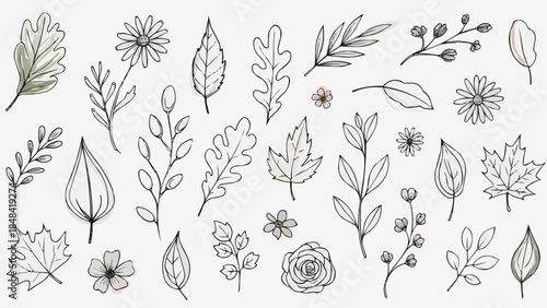 Hand Drawn Botanical Elements Collection Delicate Floral and Leaf Illustrations.