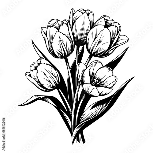 Elegant Hand-Drawn Tulip Bouquet Illustration Monochrome Floral Art