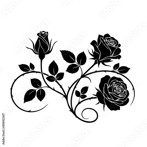 Elegant black illustration of roses and leaves on a white background