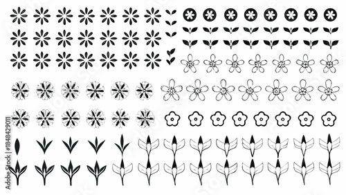 Collection of elegant floral and leaf design elements