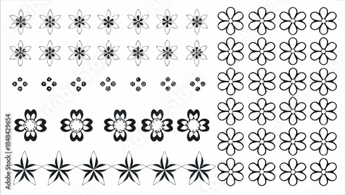 Collection of elegant floral designs and patterns