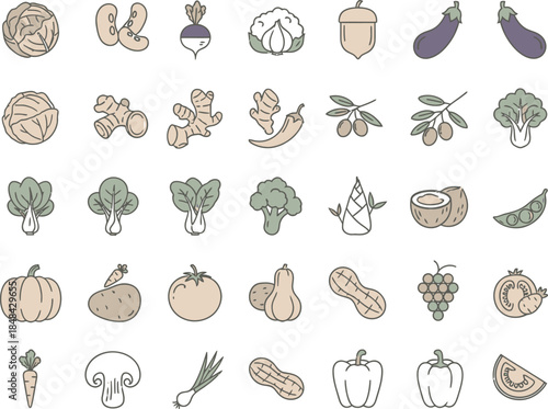 Assorted Fresh Vegetables and Fruits Icons Collection on White Background cabbage