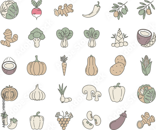 Colorful Hand Drawn Icons of Various Vegetables and Fruits on White vector illustration