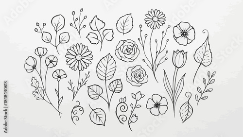 Hand Drawn Botanical Elements Collection Floral Illustrations.