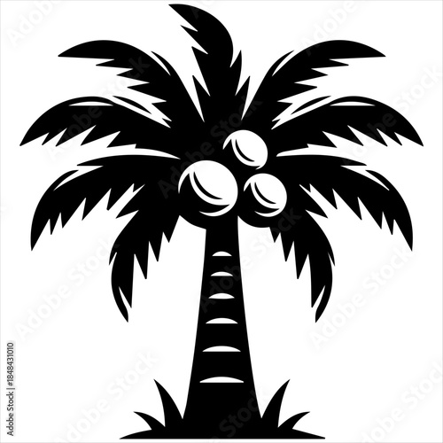 A black and white graphic illustration of a tropical palm tree with three coconuts, symbolizing summer and vacation.