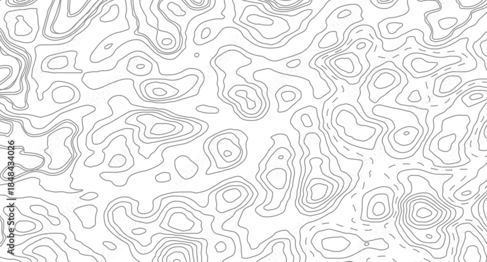 Fototapeta premium Topography background. Vector banner. Topography map background. Vector geographic contour map. Background of the topographic map.