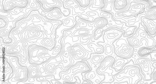 Topography background. Vector banner. Topography map background. Vector geographic contour map. Background of the topographic map.