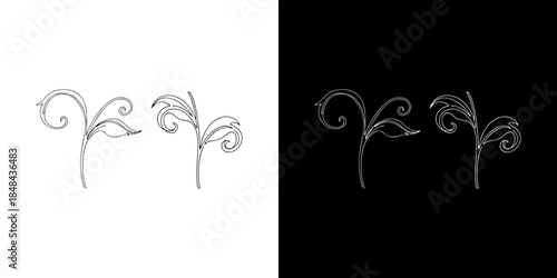 Elegant floral ornaments and decorative swirls set, showcasing vintage design elements in monochrome for versatile graphic applications