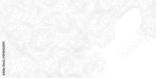 white topography map geography relief diagram texture design. Topography white background and black line world map texture design. Lines Topographic contour lines grid map seamless pattern.	