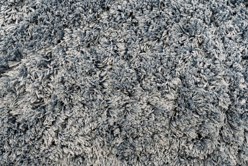 Canvas Print Close-up of a plush, blue-gray shag rug, highlighting its soft texture and inviting look