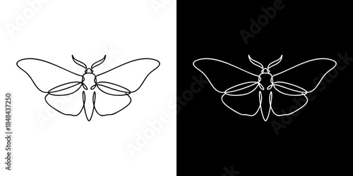 Minimalist Moth Line Art Illustration on Contrasting Black and White Backgrounds